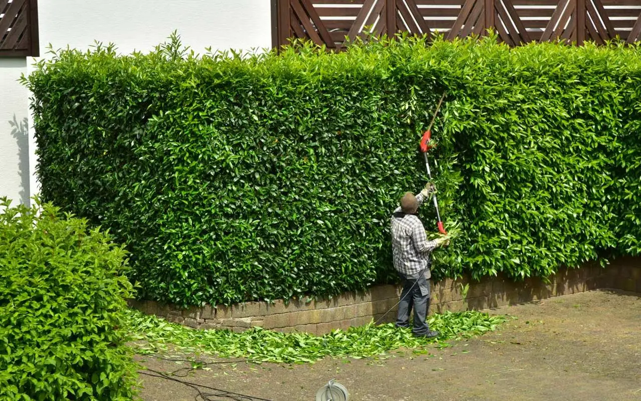 Come si veste chi lavora all’aria aperta: consigli pratici per scegliere l’abbigliamento giusto per il lavoro in giardino