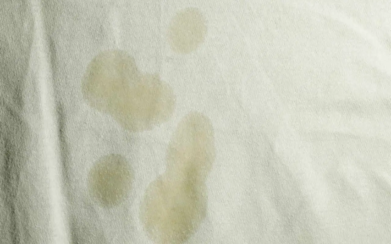 Come rimuovere efficacemente le macchie di urina vecchie e prevenire odori sgradevoli in casa