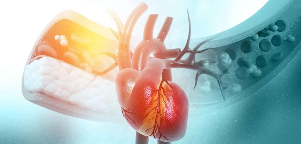 Le 5 malattie cardiovascolari più diffuse: sintomi e strategie per prevenirle