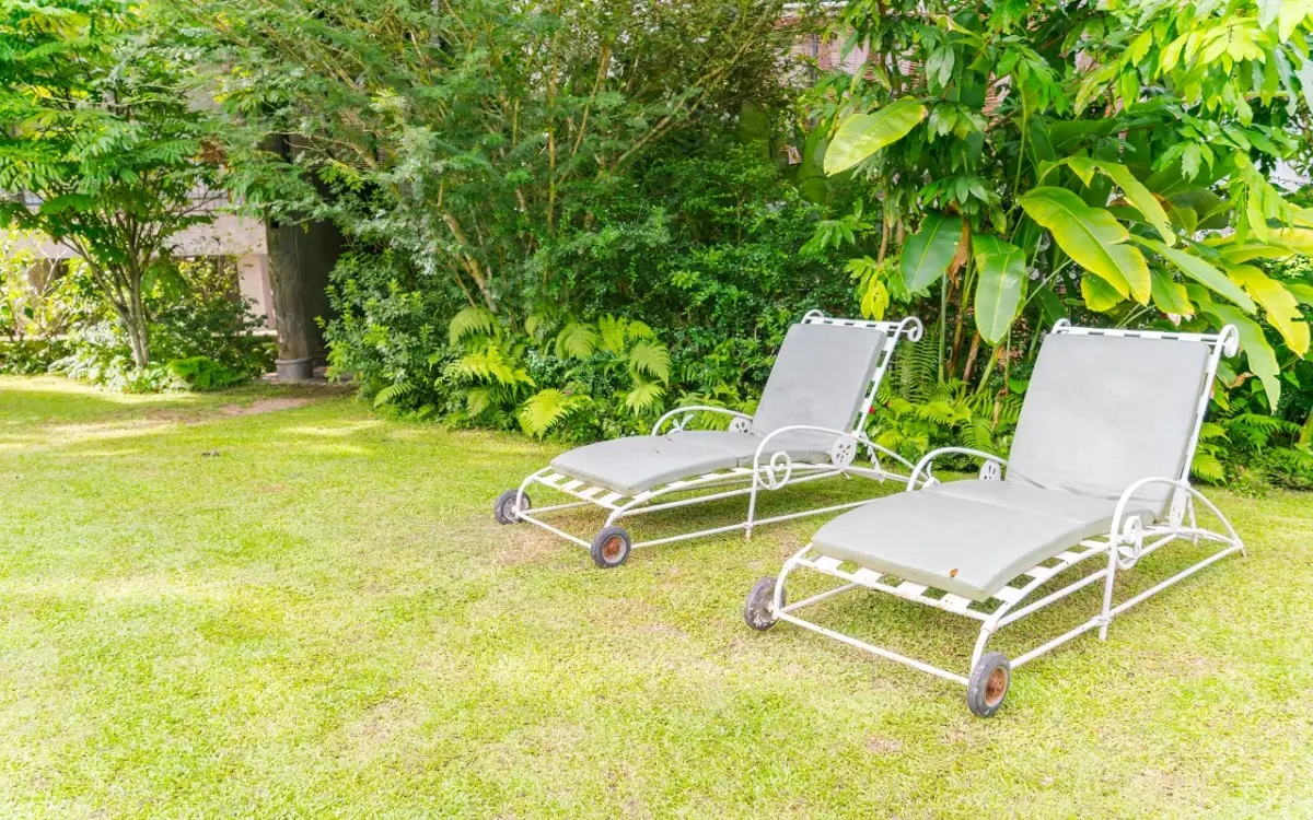 Prendi il controllo del tuo prato con questo metodo approvato anche dai professionisti