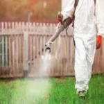 Allarme disinfestazione: ecco cosa succede se respiri accidentalmente le sostanze chimiche