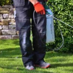 Allarme infestazioni: ecco quando basta il fai da te e quando serve la disinfestazione professionale