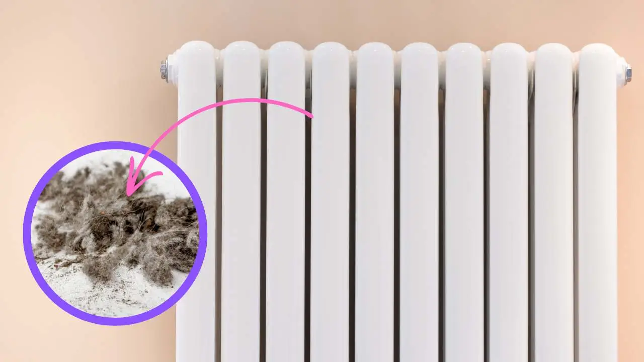 Come si fa a pulire i termosifoni e sfiatarli prima dell’accensione? I passaggi per un impianto efficiente