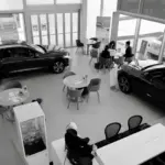 Showroom di una concessionaria multi-brand con strategia curata da un’Agenzia di Comunicazione per aumentare fiducia e richieste di preventivo